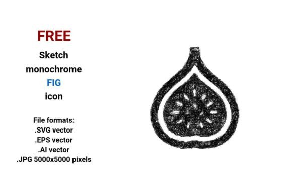 FREE Sketch Fig Icon - A Versatile Graphic Freebie for Bloggers and Publishers