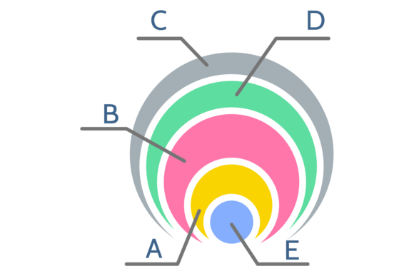 Round Infographic Graphic for Modern Web Design